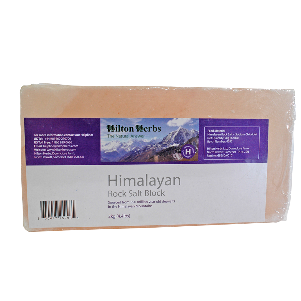 Himalayan Salt Blocks image
