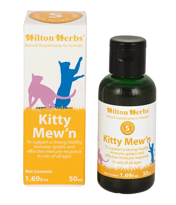 Kitty Mew'n - 50ml bottle and box with best seller rosette