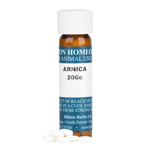 Arnica 200c - tablets in 7g bottle