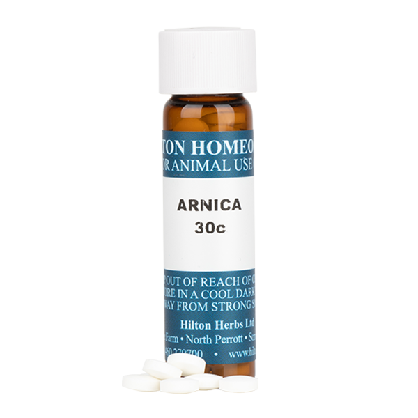 Arnica 30c - tablets in 7g bottle