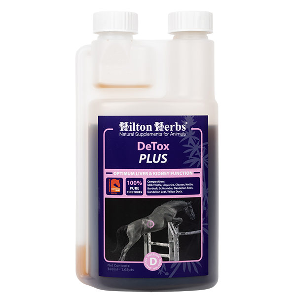 DeTox PLUS - 500ml bottle front