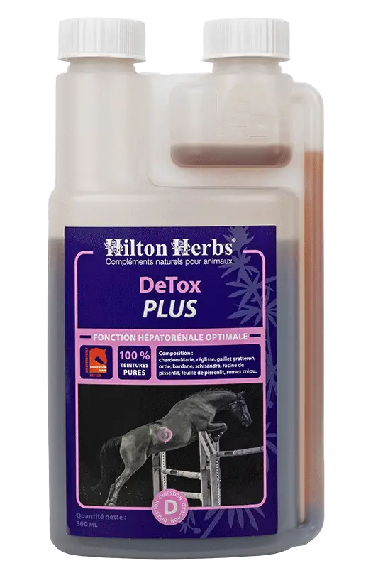 DeTox PLUS - 500ml bottle front