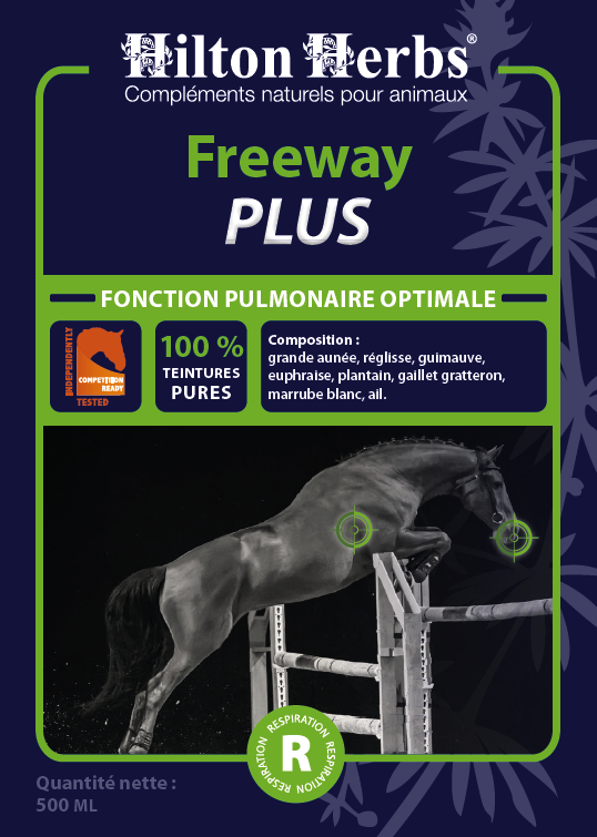 Freeway PLUS - Compétition image