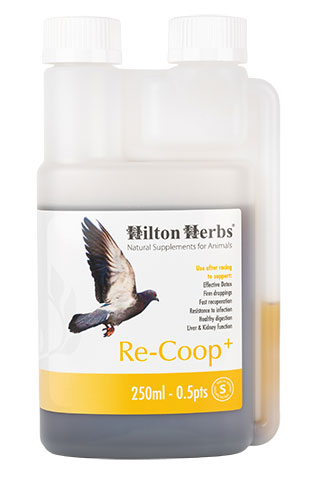 Re-Coop+ - Energy Booster for Pigeons - 250ml bottle