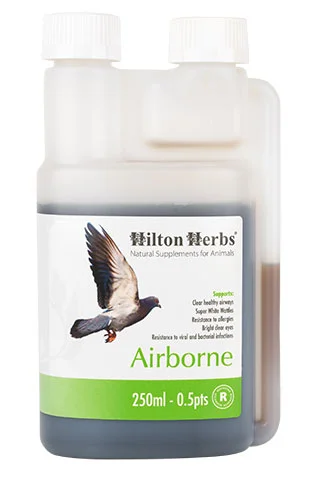 Airbone - Supports Respiratory Health in Pigeons - 250ml bottle