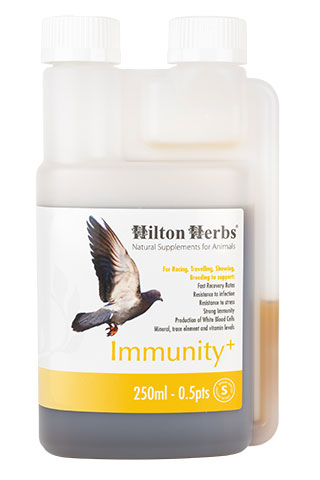 Immunity+ - immune booster for Racing Pigeons - 250ml bottle