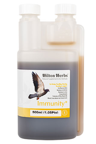 Immunity+ - Immune booster for Racing Pigeons - 500ml Bottle