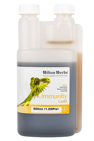 Immunity Gold - Supports Immune Function - 500ml bottle