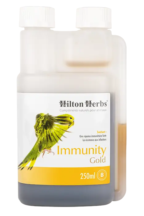Immunity Gold - Supports Immune Function - 250ml bottle
