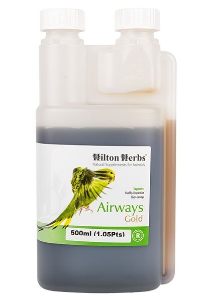 Airways Gold - Optimum respiratory function for Birds & Poultry - 500ml bottle