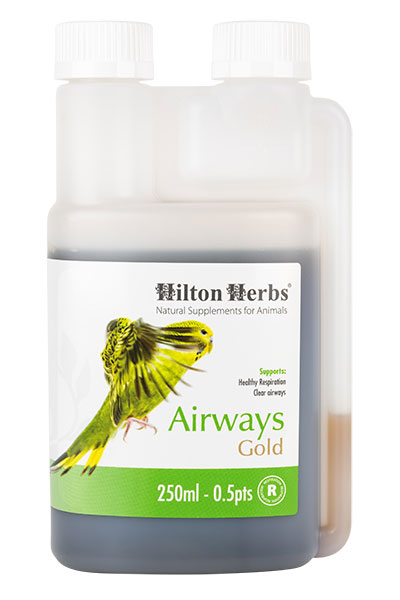 Airways Gold - Optimum respiratory function for Birds & Poultry - 250ml bottle