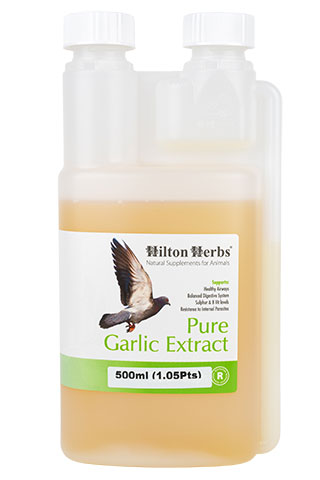 Pure Garlic Juice for Birds - 500mls bottle