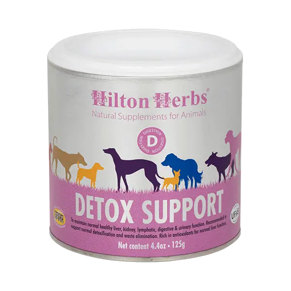 Un pot de Detox Support pour chien de Hilton Herbs