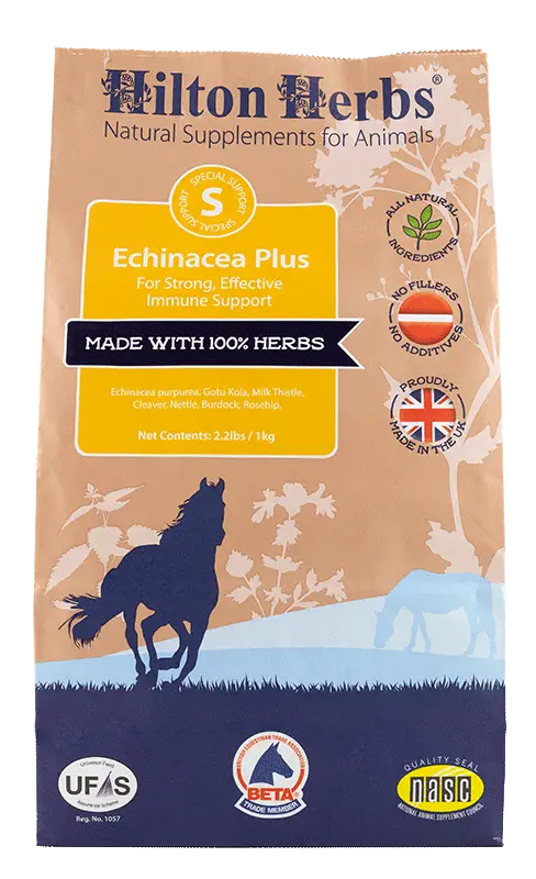 Echinacea - raw product + scoop