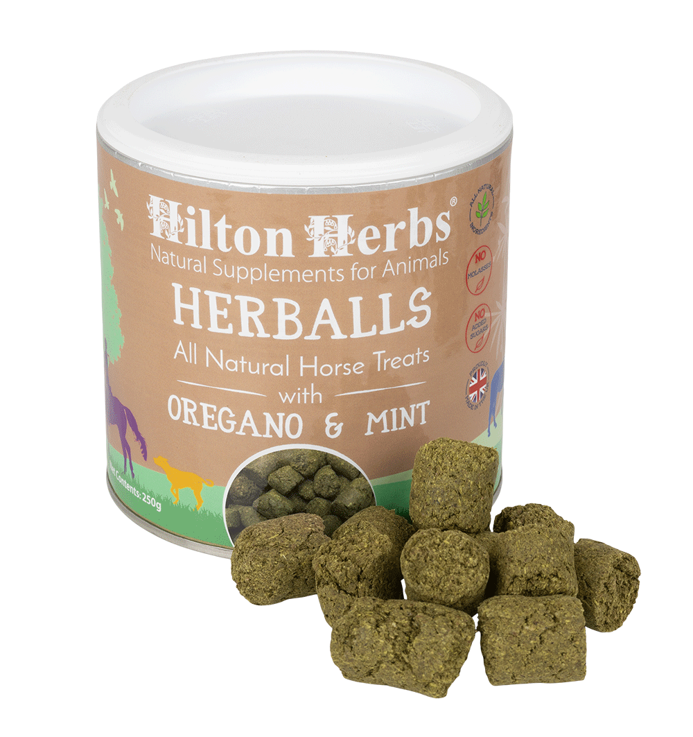 Hilton Herbs Herballs All Natural Horse Treat with Oregano and Mint 1.1 lb 